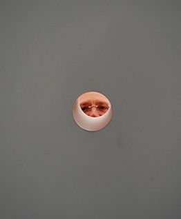 Biennale di Architettura di Venezia