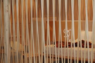 stand nova ti di cesena  - 3